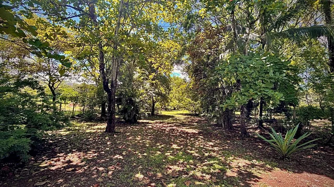 Vista panorámica Quinta Sangue Sabur