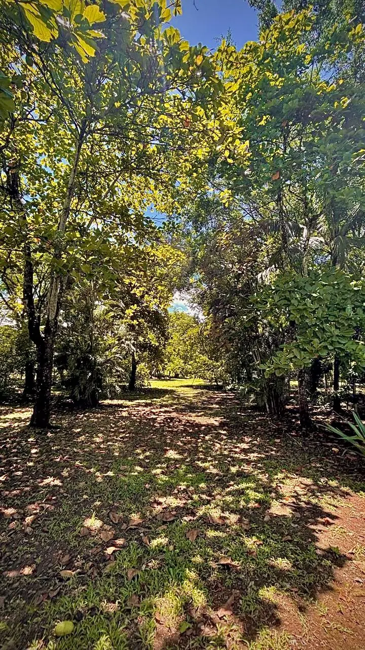 Quinta Sangue Sabur vista 2