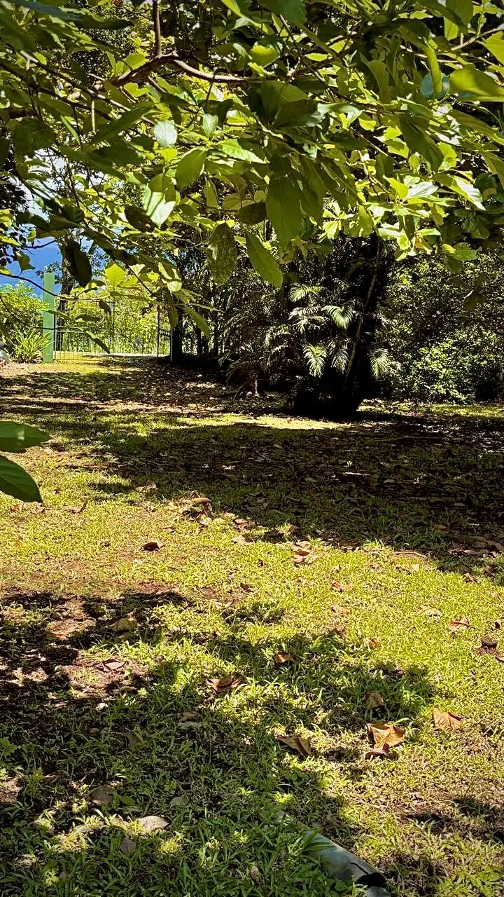 Paisaje Quinta Sangue Sabur