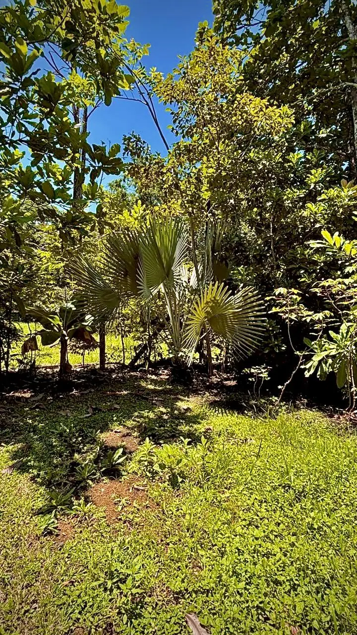 Quinta Sangue Sabur vista 3