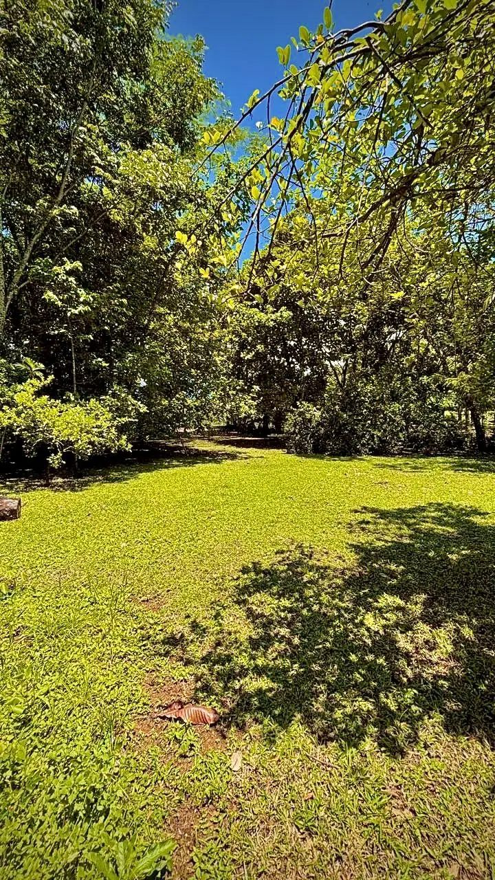 Perspectiva Quinta Sangue Sabur